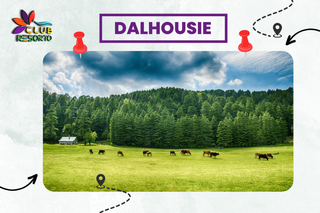 Club Resorto Review Places in Dalhousie