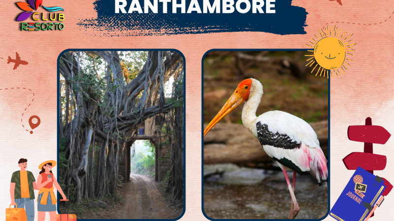 Club Resorto Reviews Ranthambore as a Holiday Destination